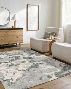 Hand Tufted Wool Rug in Modern Living Room