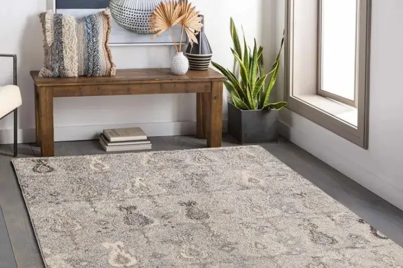 Transitional Rug 2