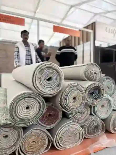 IMG 3114 scaled result 1 2